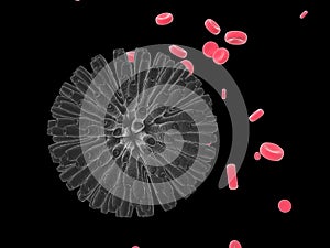 Bacterium on black background. Raster Ã¢ââ5